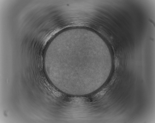 X0000103960781200810311613