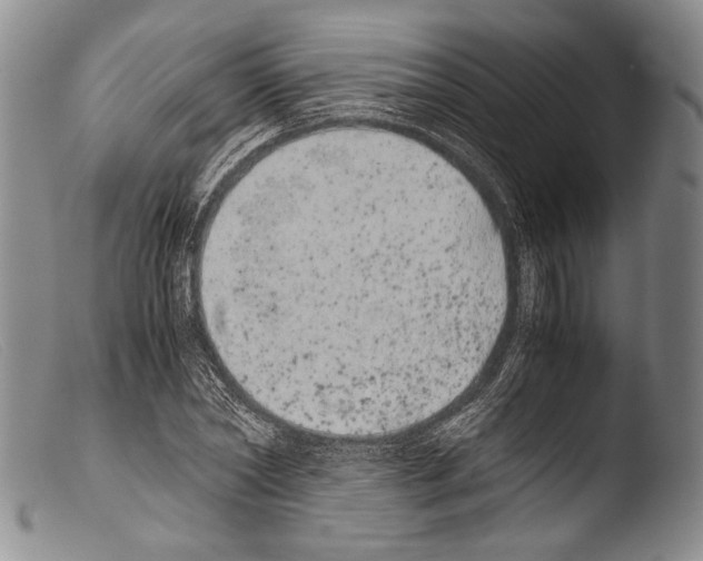 X0000103960782200810311613