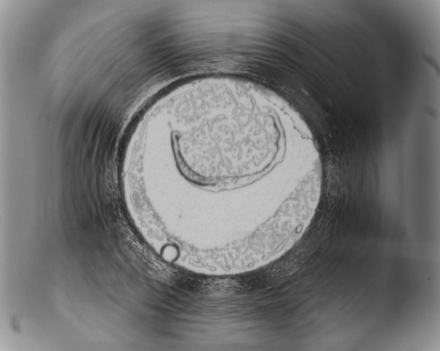 X0000103960784200810311613
