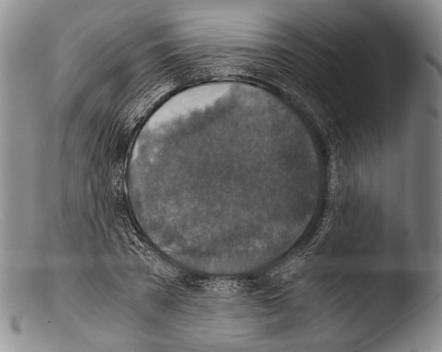 X0000103960785200810311613