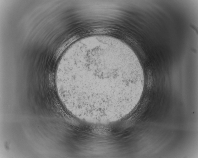 X0000103960786200810311613