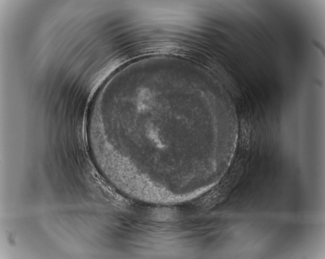 X0000103960788200810311613
