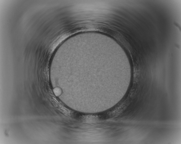X0000103960789200810311613