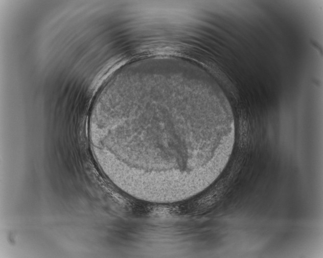 X0000103960790200810311613