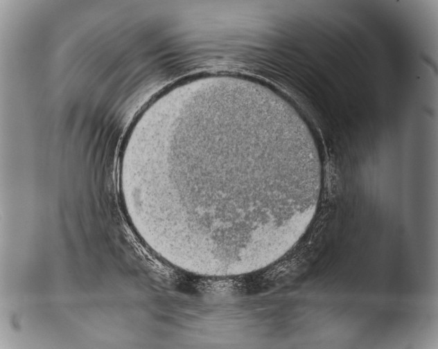 X0000103960791200810311613