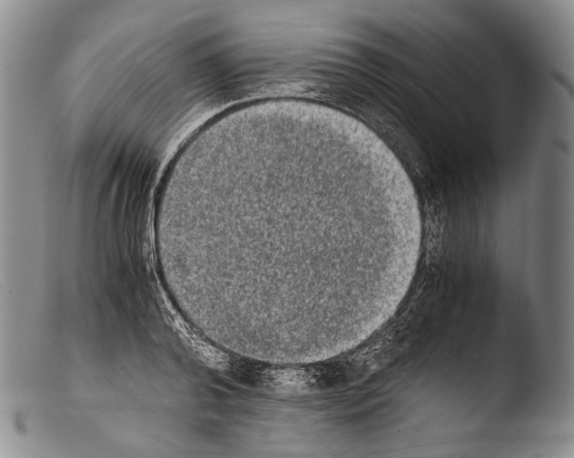X0000103960792200810311613