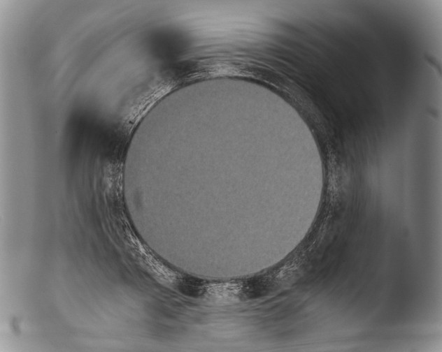 X0000103960793200810311613