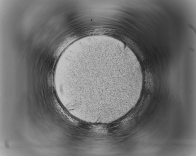 X0000103960794200810311613