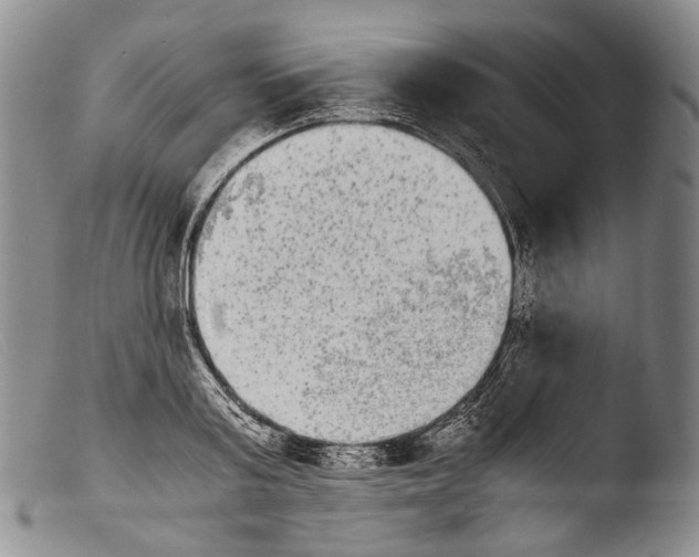 X0000103960795200810311613