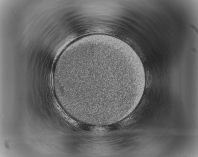 X0000103960796200810311613