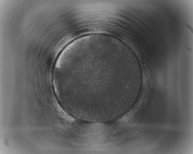 X0000103960797200810311613