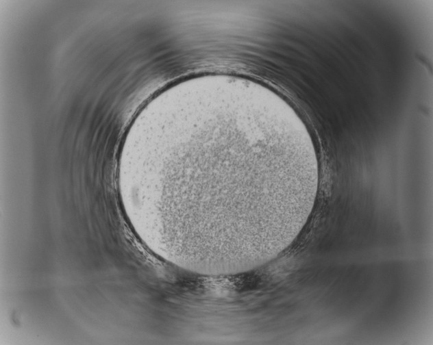 X0000103960799200810311613