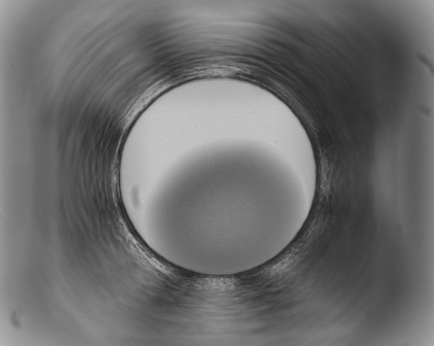 X0000103960802200810311613