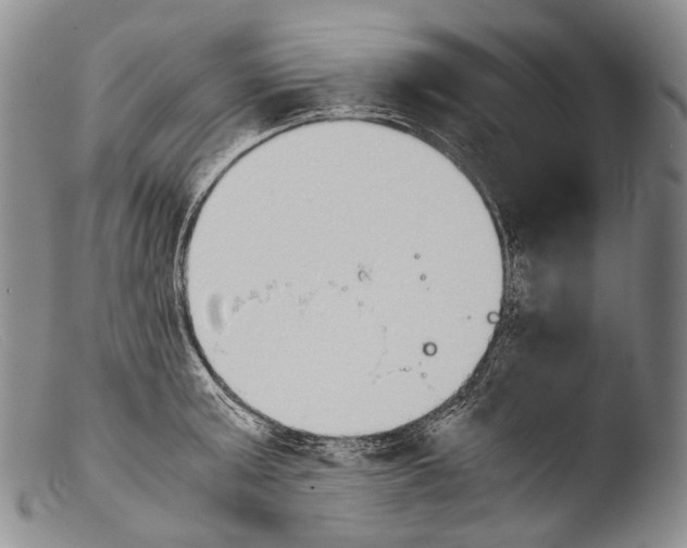 X0000103960803200810311613