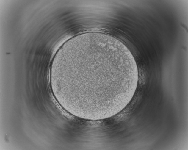 X0000103960804200810311613