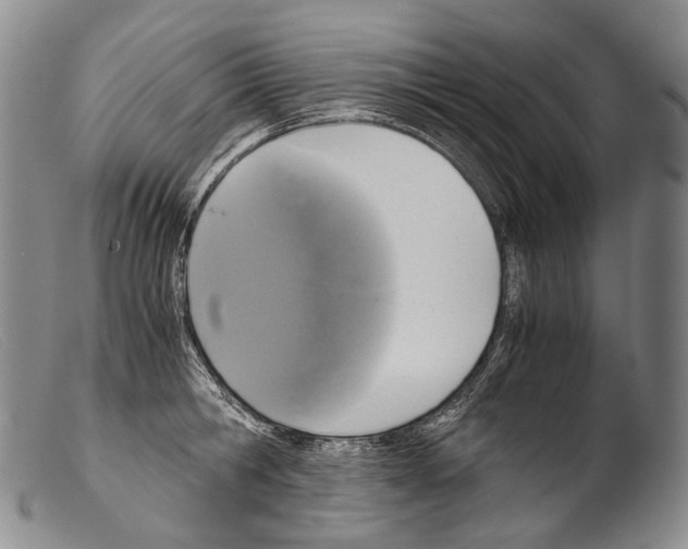 X0000103960806200810311613