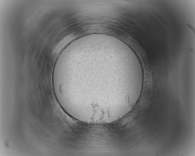 X0000103960807200810311613