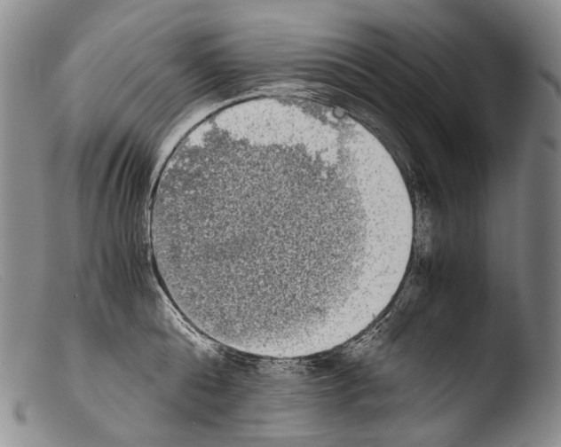 X0000103960808200810311613