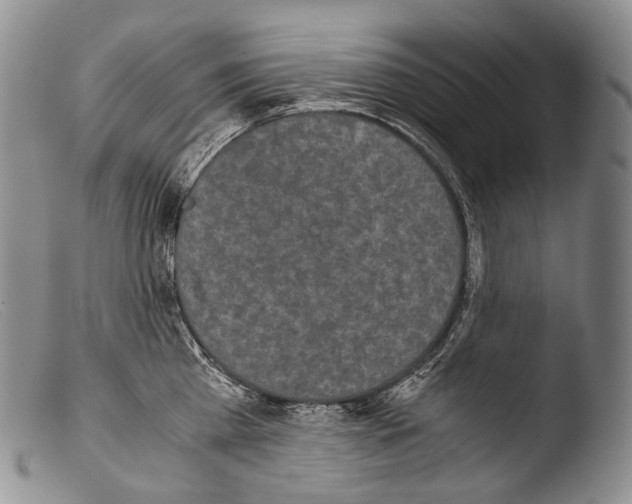 X0000103960809200810311613
