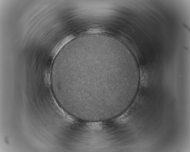 X0000103960810200810311613