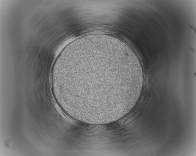 X0000103960811200810311613