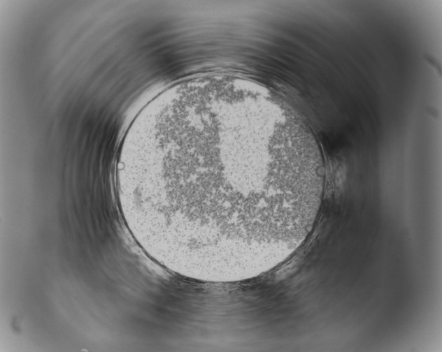 X0000103960812200810311613