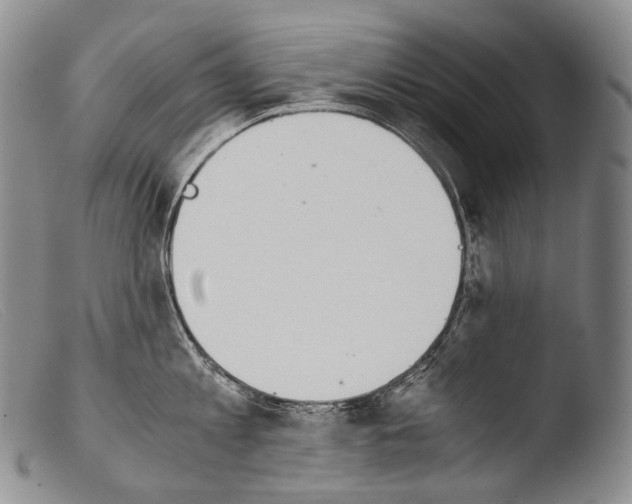X0000103960813200810311613