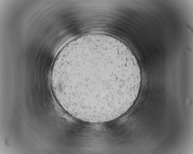 X0000103960814200810311612