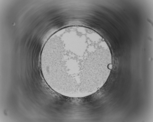 X0000103960815200810311612