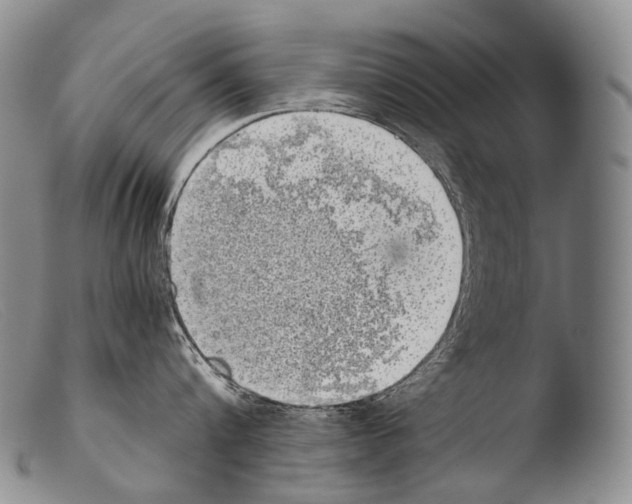 X0000103960816200810311612