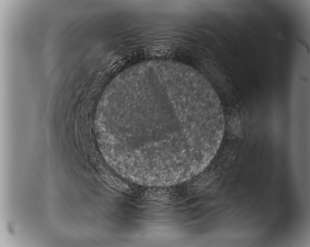 X0000103960817200810311612