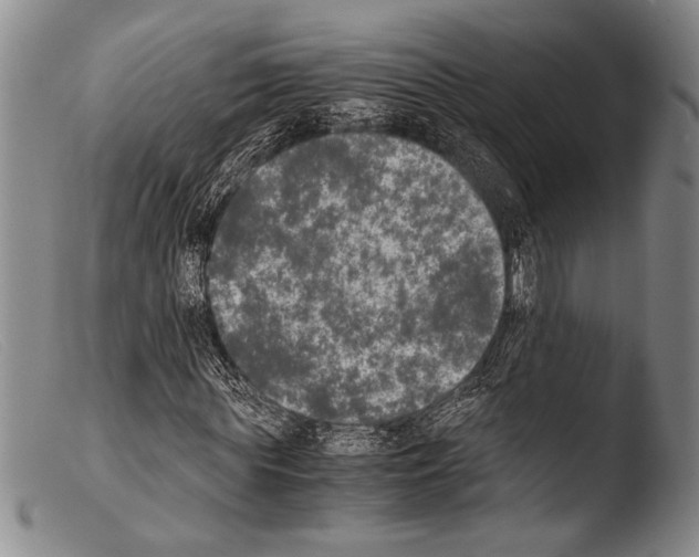 X0000103960819200810311612
