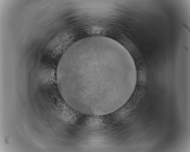X0000103960820200810311612