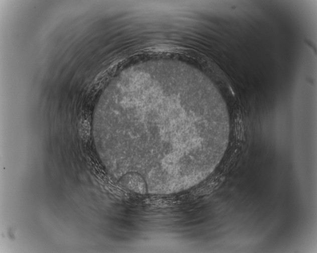 X0000103960821200810311612