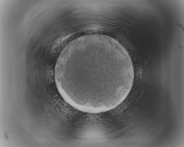 X0000103960822200810311612