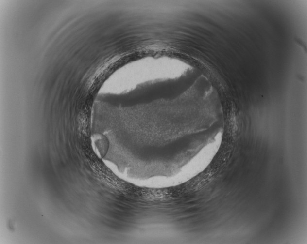 X0000103960823200810311612