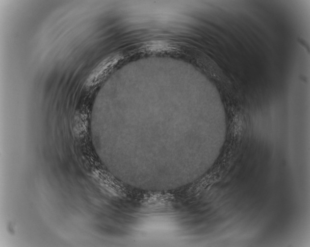 X0000103960824200810311612