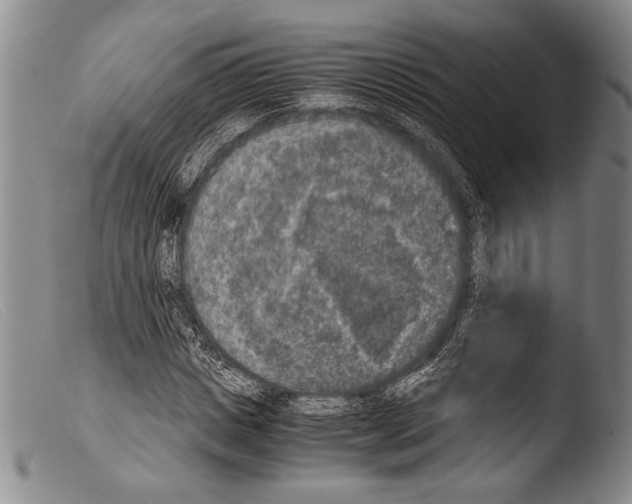 X0000103960825200810311612
