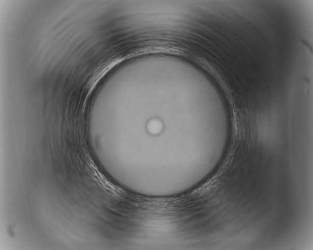 X0000103960828200810311612