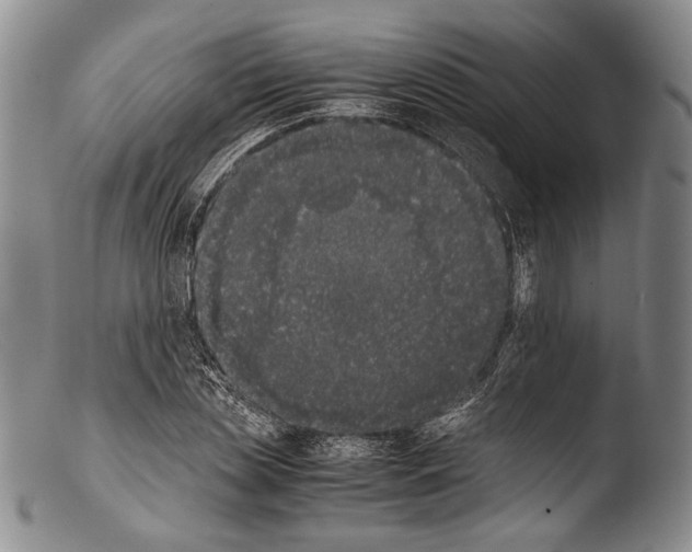 X0000103960829200810311612