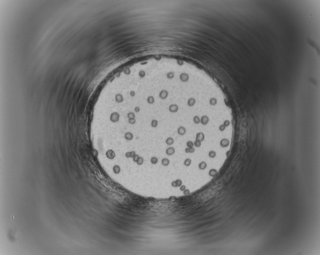 X0000103960830200810311612