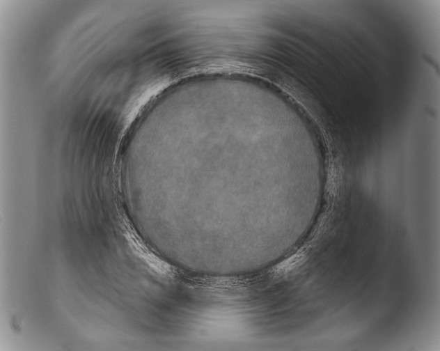 X0000103960832200810311612