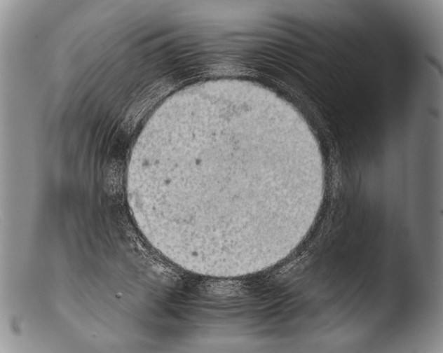 X0000103960833200810311612