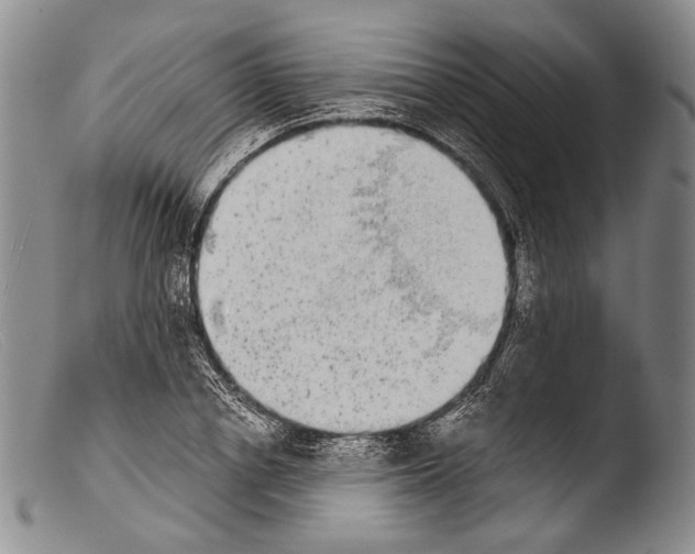 X0000103960834200810311612