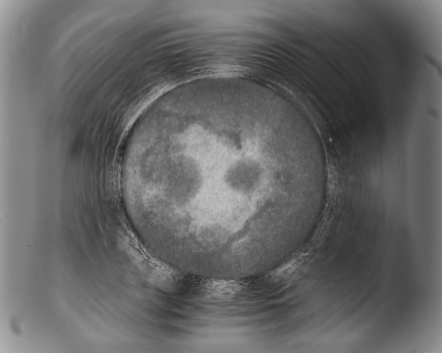 X0000103960835200810311612