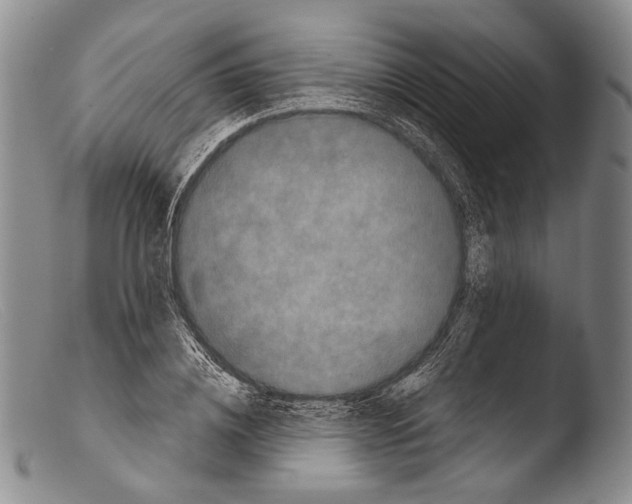 X0000103960836200810311612