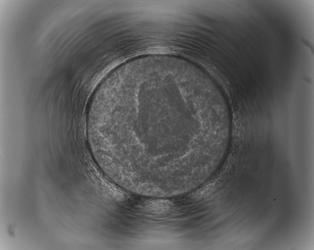 X0000103960837200810311612