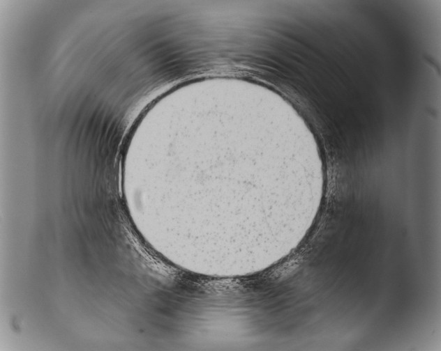 X0000103960838200810311612