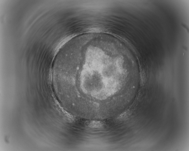 X0000103960839200810311612
