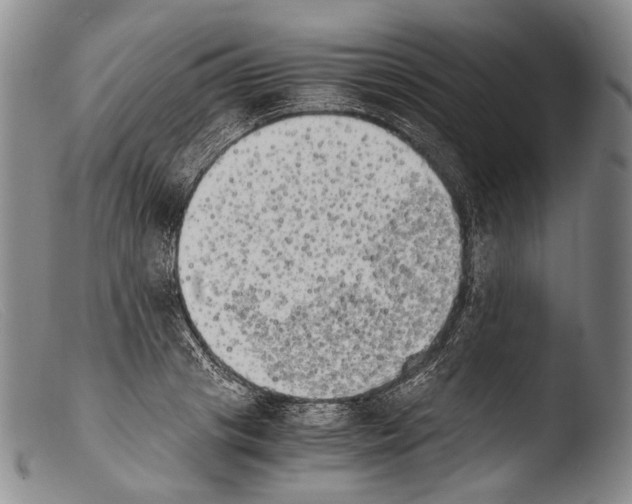 X0000103960841200810311612